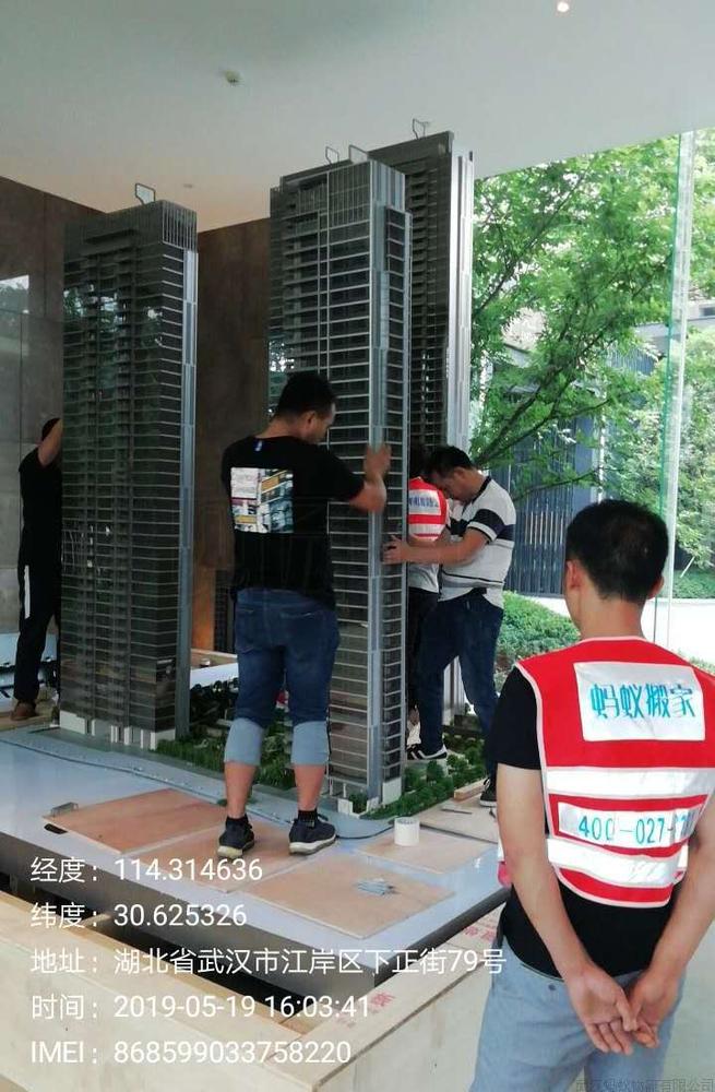 武漢螞蟻搬家 武漢螞蟻搬家