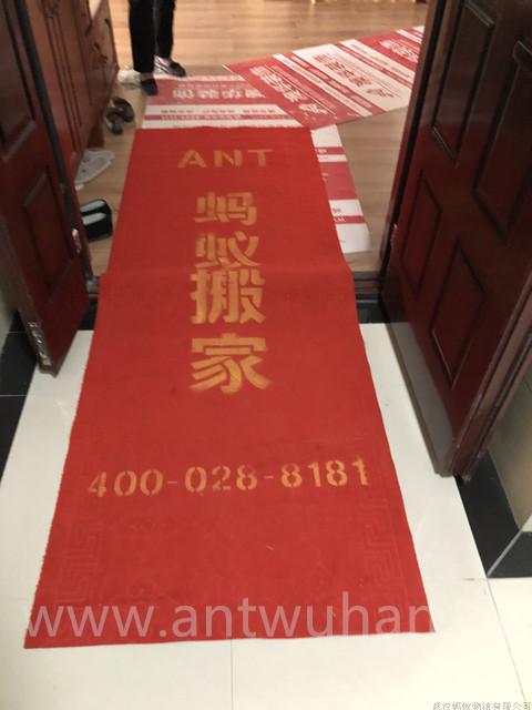 微信图片_20190505155344_副本.jpg