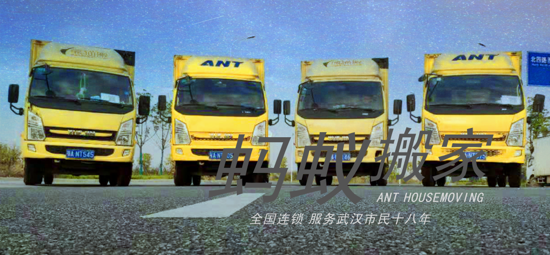 BSL1541168262641.png